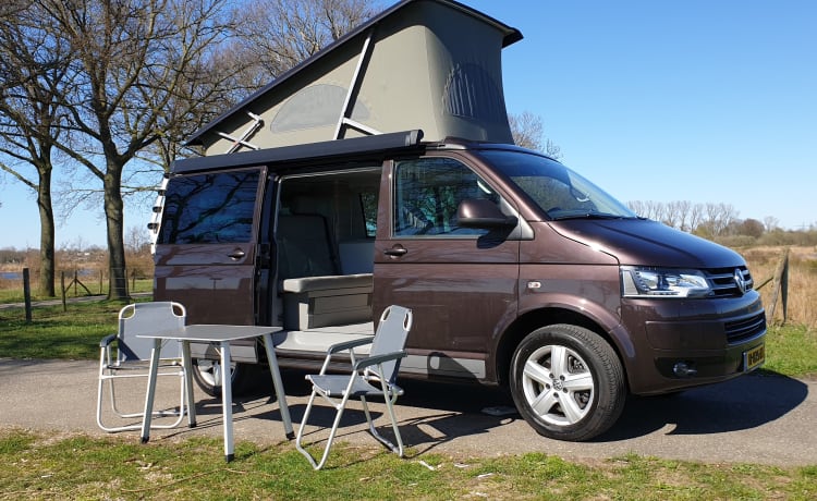 Bruin – Camping-car Volkswagen T5 California Bus avec toit relevable.