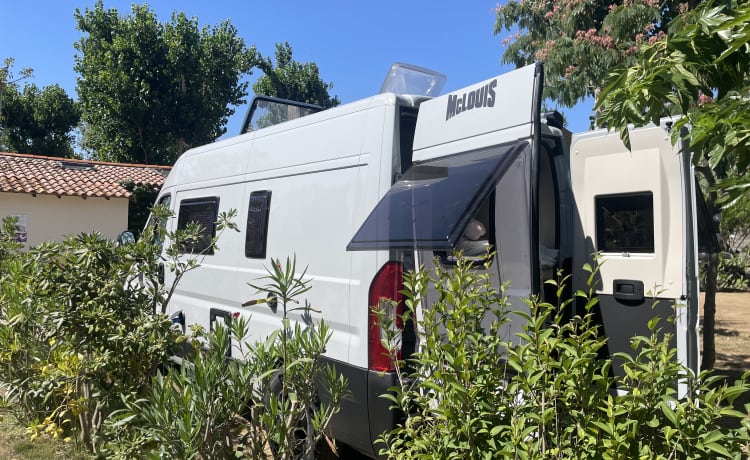 Camping-car 2 personnes (2024) McLouis Menfys Discovery Van 1