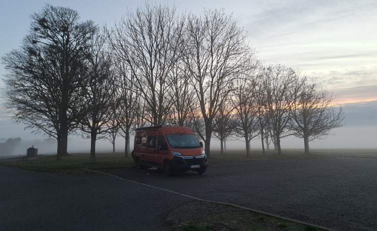 Oranje Puzzel – 2p Pössl bus uit 2019