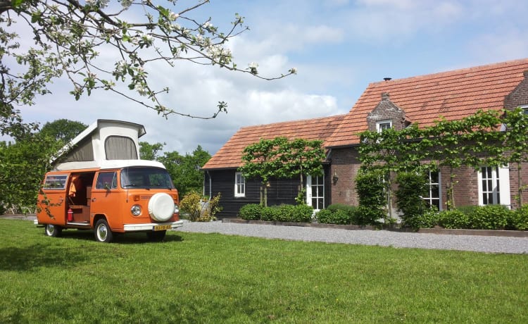 Lady Orange – Volkswagen Camperbus von 1974 (4 Personen)