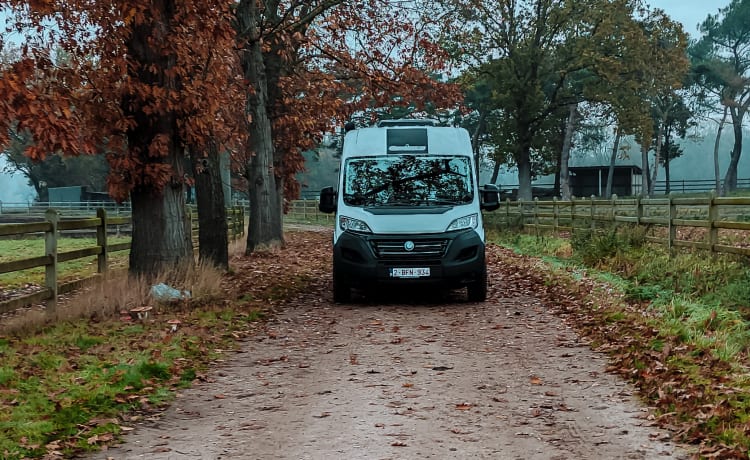 Hectorhetbusje – Camping car 2p Chausson Bus à partir de 2021