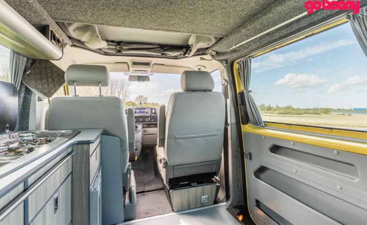 Sunny – 2er Volkswagen Bus von 2015