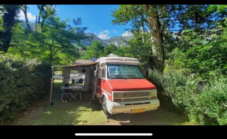 SEHR gemütlicher Fiat Ducato Hobby 600