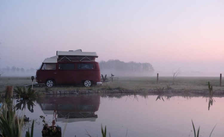 Ga op duurzame roadtrip met Mariquita! ⚡️🚐 – 100% Elektrisch! ⚡️ VW T2 "Mariquita"