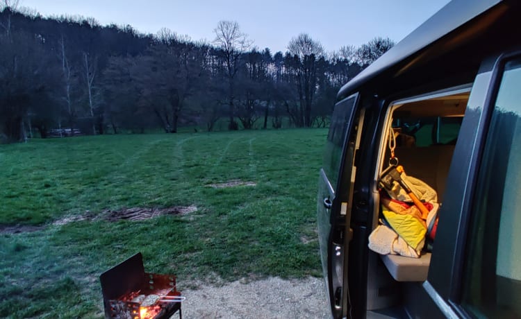 NEW VW CALIFORNIA WITH BIKE RACK