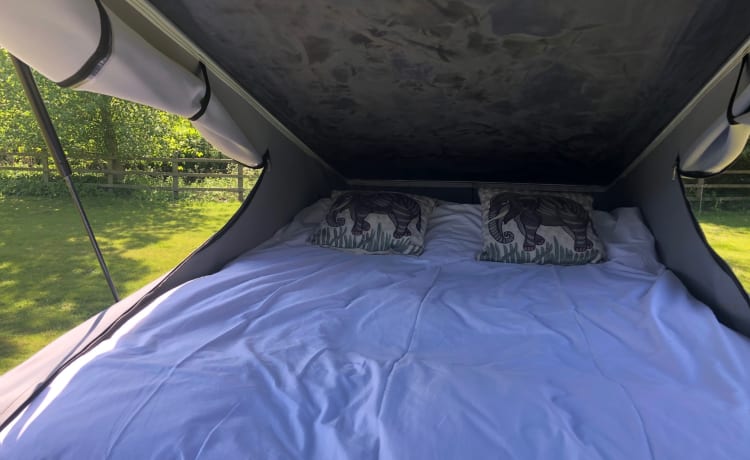 Shamus – VW T6 Hochwertiger Camper - Automatik/DSG