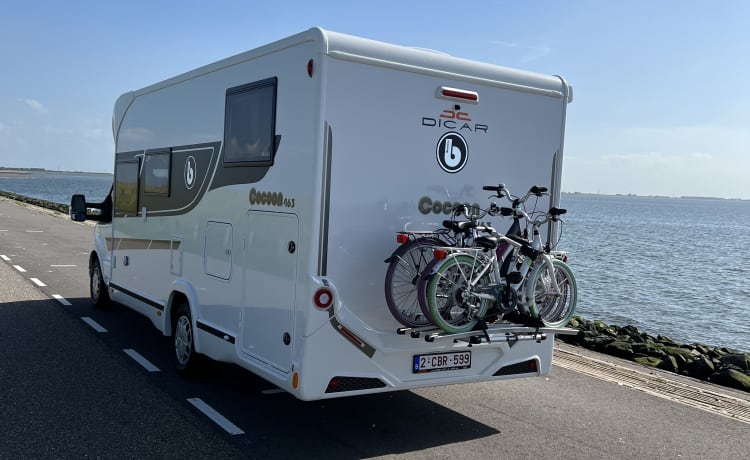 Q-time – Benimar Cocoon 463 uit Antwerpen!