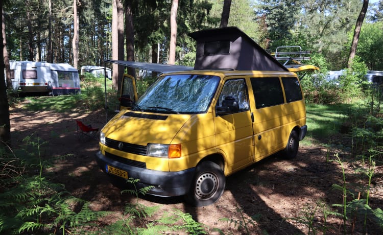 De Gele Bus – On the road with the Yellow Bus!