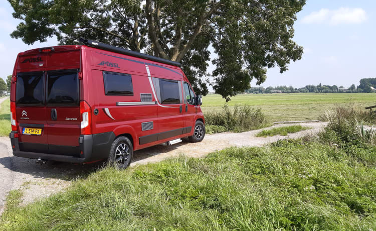 Amazone – Affascinante camper Citroen Jumper Bus per 2 persone