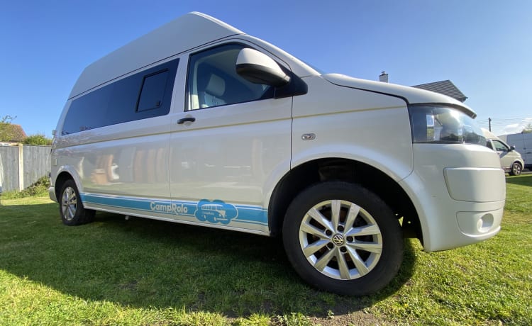 Angel – T5 VW (2014), tetto alto bianco