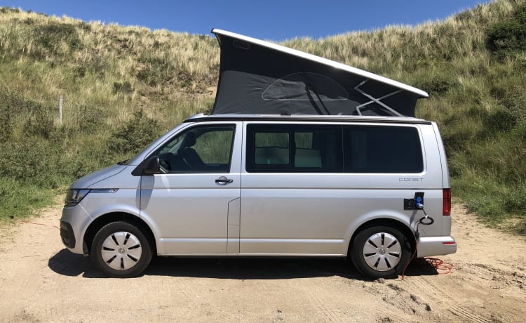 Traumbulli – "Bulli" Californië T6.1 Coast