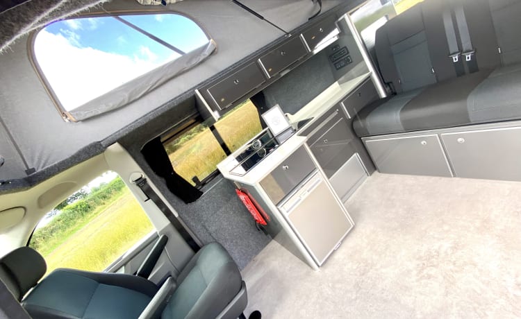 Yorkie Pud – YorKamper -  2021 VW Transporter 4 berth