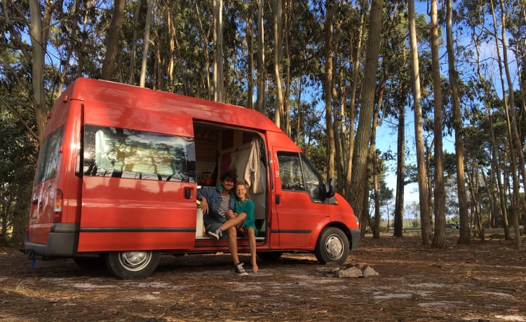 Balou de bus – Huiselijk avonturieren