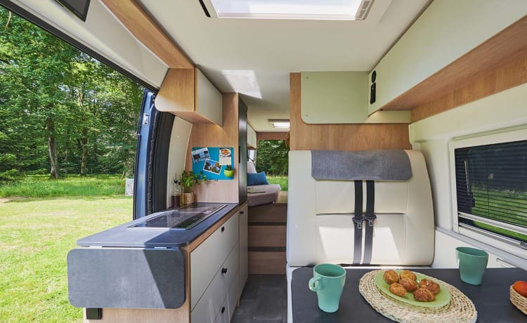 Nieuwe Camper 2023 - Euro 6D - Binnen in elke stad