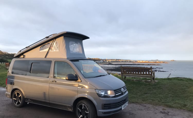 Gandalf – VW T6 Wohnmobil mit 4 Schlafplätzen