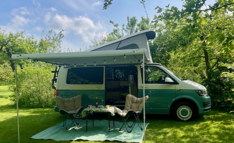 4p Volkswagen T6 L2H1 from 2017 with 2022 interior