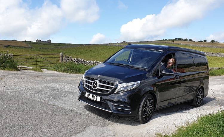 Pookiemobile – Top Range Marco Polo AMG V250: Drive in Style