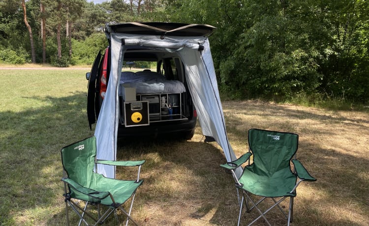 The Dutch Kangeroo 🦘 – Camping-car Renault 2p de 2009