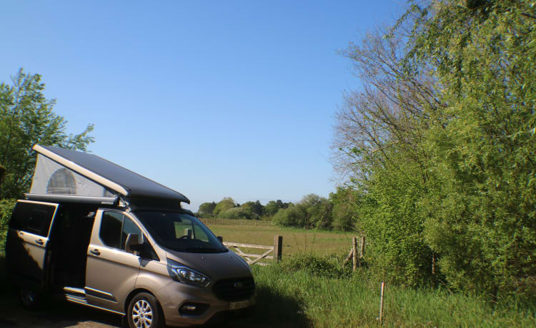 Ford Nugget (neues Modell 2022). Mit Outdoor-Kochset!