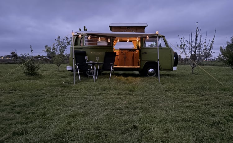 The Hulk – Westfalia – Wunderschöner klassischer Camper zu vermieten! 