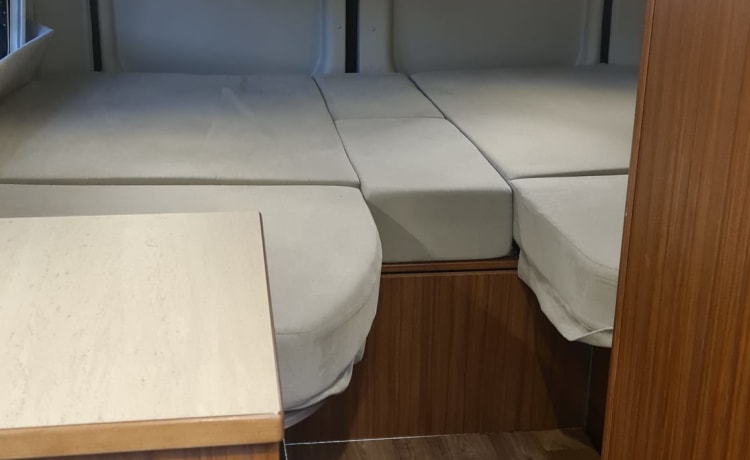 De Westereender Flitz – Pössl Bus Camper 160 ch Automatique à partir de 2019