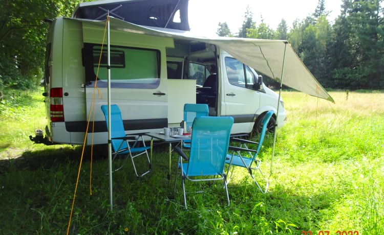 Mercedes Benz Sprinter 4 places bus camping-car automatique.