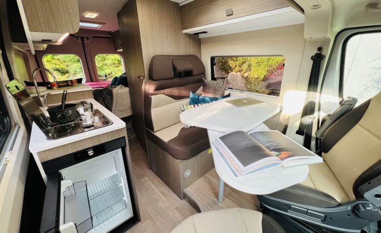 Euro Camper - Comfort like at home