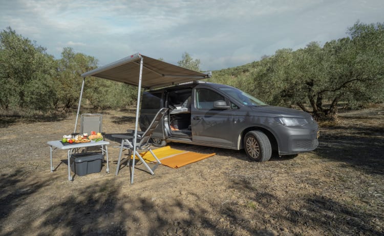 Abbey – Camping-car bus économique à partir de 2024