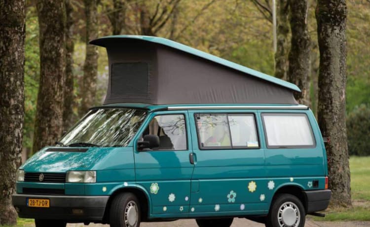 Happy - Accogliente e robusto VW T4 California con tetto a pelo