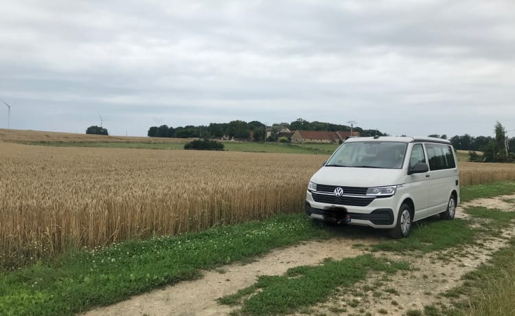 Jimo – Van VW california nove per 4