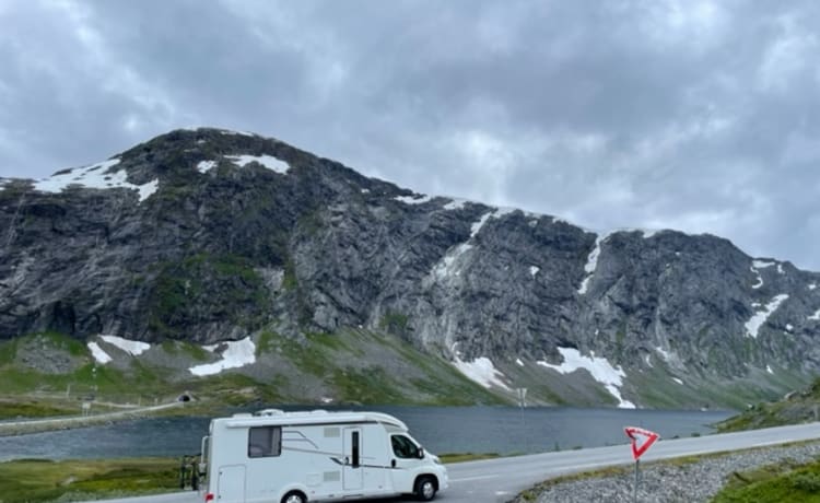 4 posti Hymer semintegrato del 2019