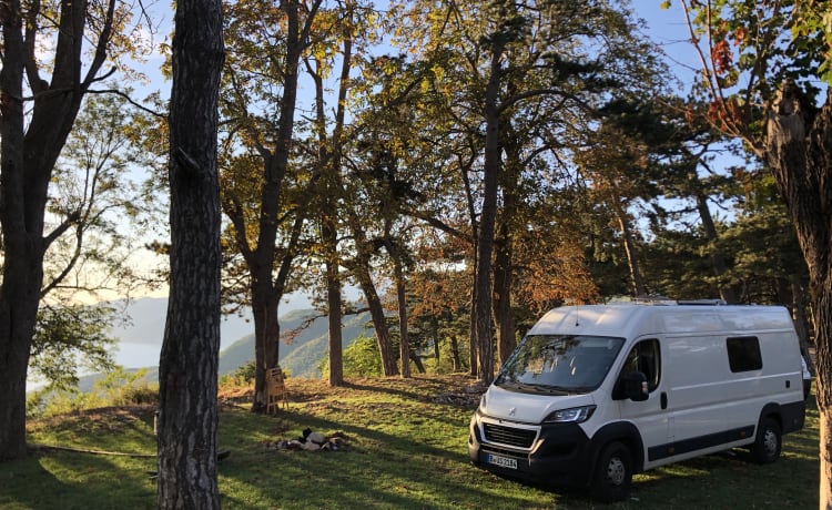 Erwin – Camping-car tout équipé pour 3 personnes