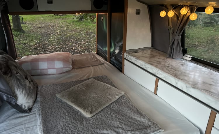 Colin de Camper – Volkswagen T4 California Bus-Wohnmobil, Top-Zustand, mit Extras und Off-Grid