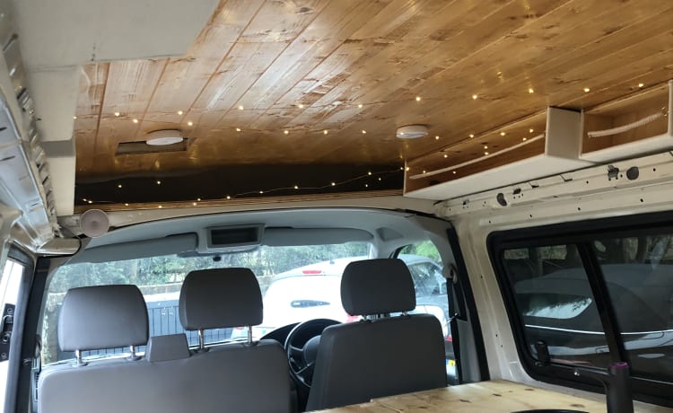 Pedi – Bespoke 2 berth VW Transporter 