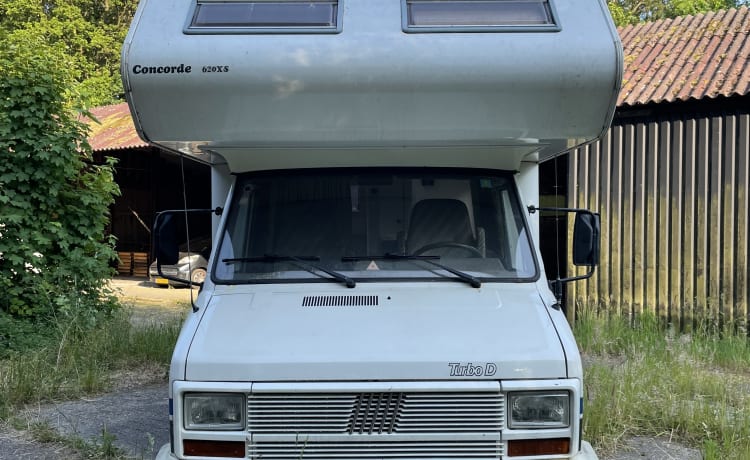 Kwakkel – Fühlen Sie sich in meinem geräumigen und gemütlichen Fiat Ducato Concorde 1990 wie zu Hause