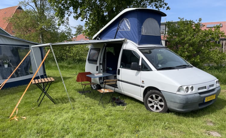 Scudo – Fijne compacte camper 🚐🏝