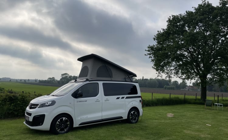 4p Dethleffs campervan uit 2023