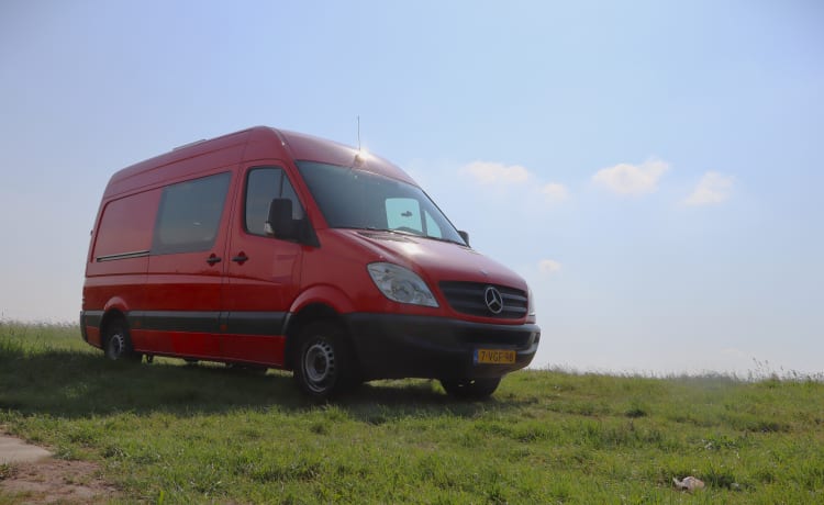 Reddy – Unieke Zelfbouw Mercedes Sprinter