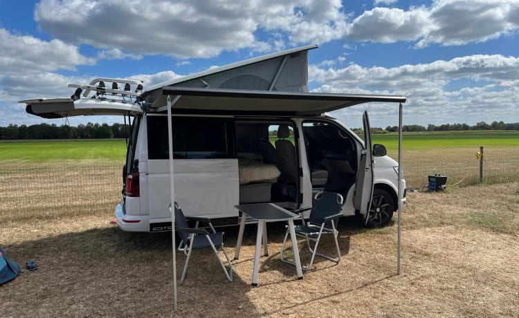 Witte VW California – Volkswagen CALIFORNIA T6 Edition (4p) de 2018. Peut-être. avec remorque moto