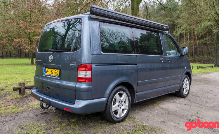 Stein – Volkswagen T5 California 4motion