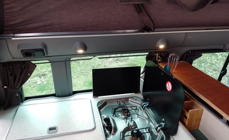 Bus Bertha  – Camper Ford 4p del 2012