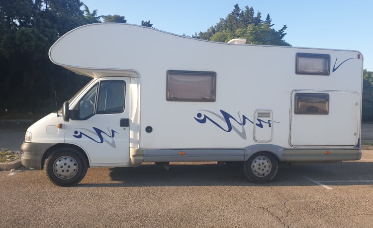 Student  – Fiat ducato SEA 7 zits