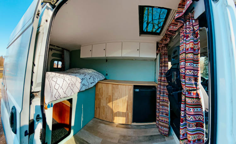 Cozy DIY (surf) bus camper