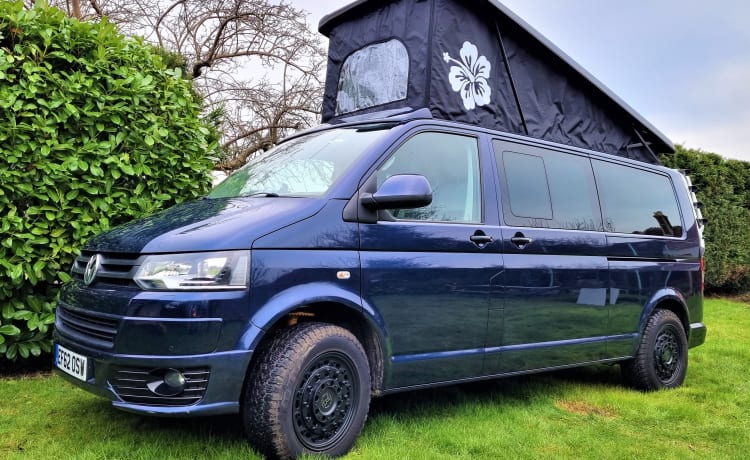 "Buster" - Camper VW LWB T5 - Cambio automatico DSG