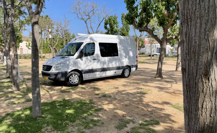 Reachervan – Mercedes-Benz Sprinter für zwei Personen