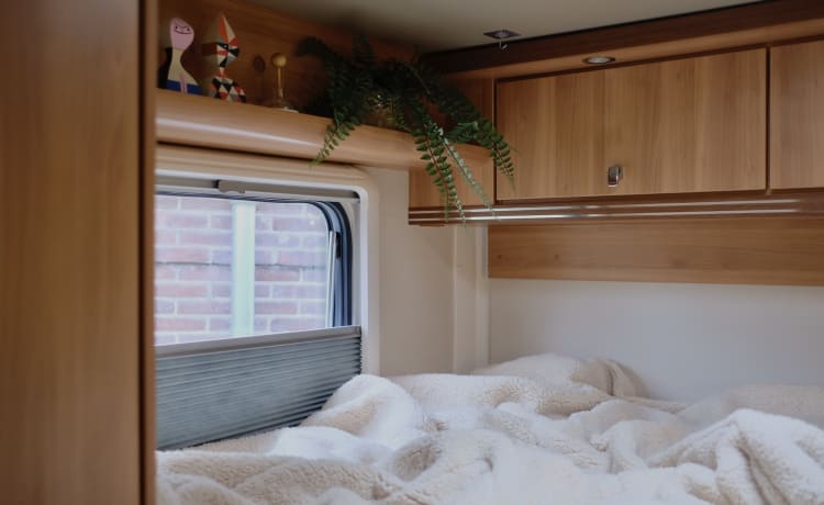 Mid Campery – Mid Campery 4p Hymer integrated uit 2010 