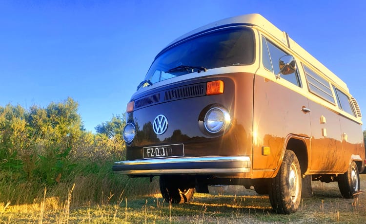 Avrel – Vintage Trip, combi westfalia 