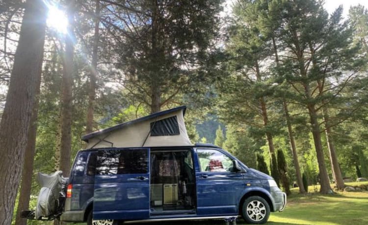 Bommeltje VW T5 extra binnen ruimte  – Camper Volkswagen 2p del 2007