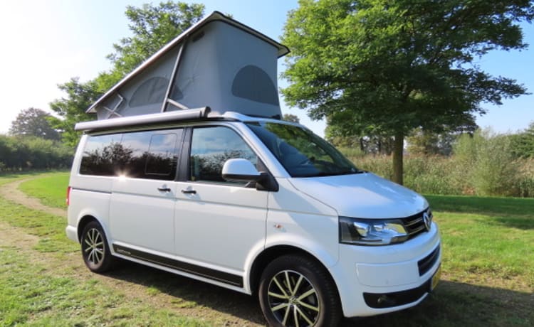 Buzz – VW California Comfort Line (T5)