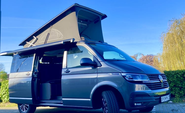 Pampus – Sportieve [2023] VW T6.1 SpaceCamper Aut. 5Persoons BusCamper 